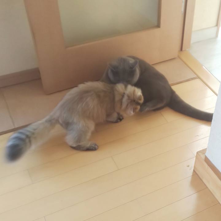 F6c70dc5 a377 488e 9c46 494708ebcc2d 1558834962168