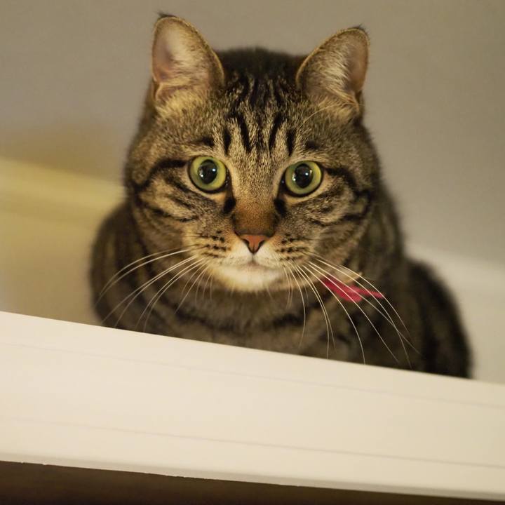 F6c71b17 e066 42d6 be9e a746e7c07893 1621523027618