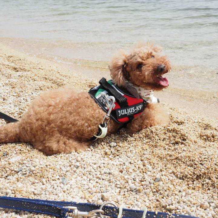 F6c72bcc 14e1 4a08 9e55 6e506e458a7e 1522561611804