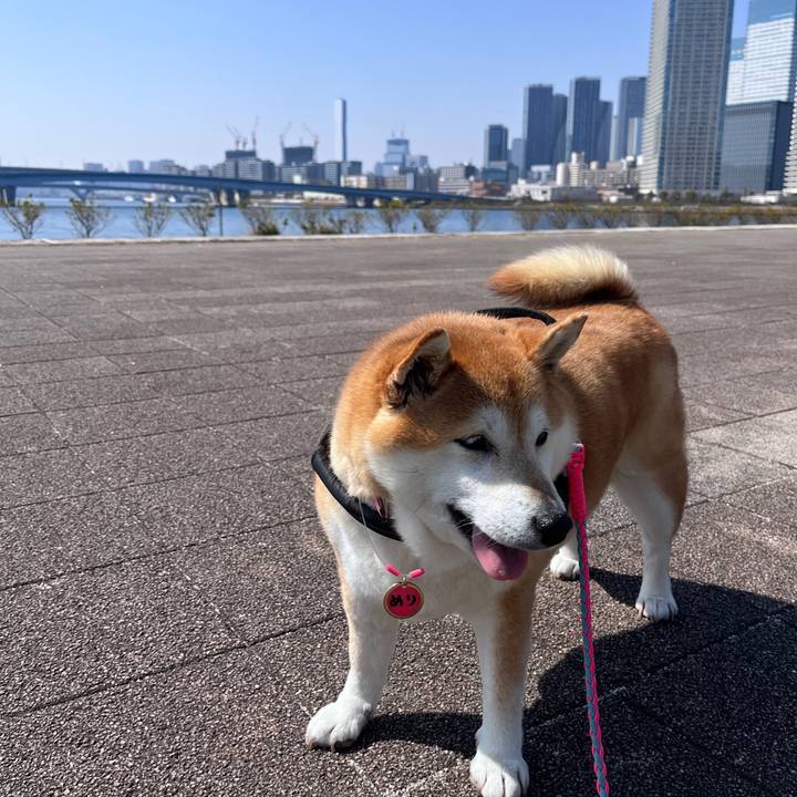 F6c7361f e07a 4eb1 adf1 76cc612b870d 1710561474673