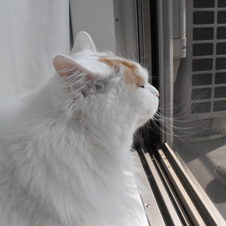 F6c75468 54be 41d3 b1f5 bf0f696c536f 1774754046400