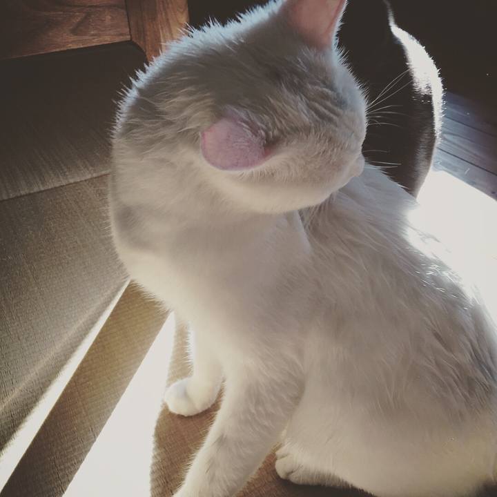 F6c766e6 9601 4040 91a3 26e2b860e727 1509841296389