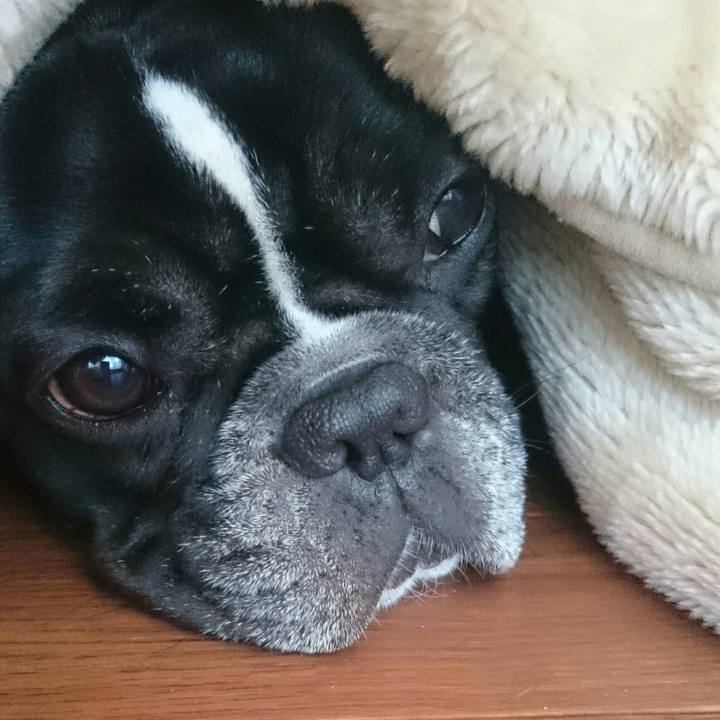 F6c77fc4 a284 4ecc 8e6a b5bb70e6ea6b 1517969440454