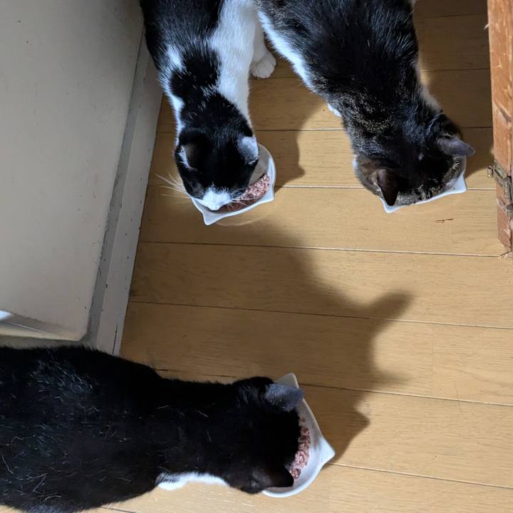 F6c7ced4 ca7e 4e78 9f0c eedf94a35ae5 1750947168456