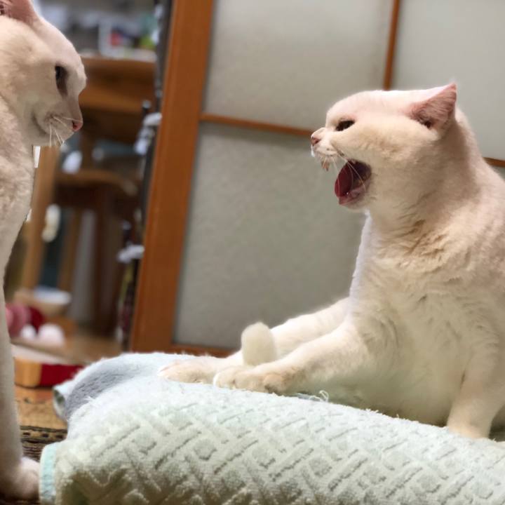 F6c7e378 399b 487e 811e 2ab1cc36ffcb 1539250454931