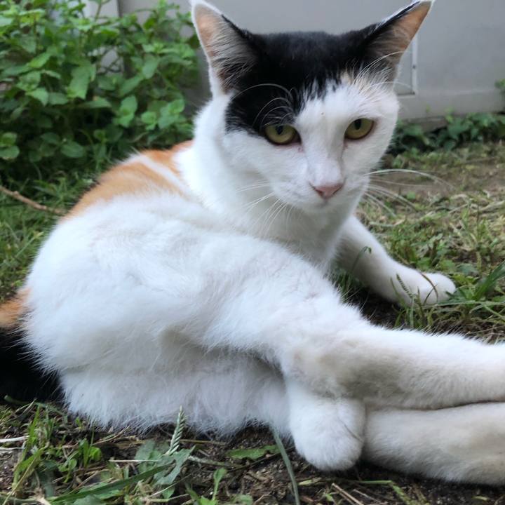 F6c7ec6b 9bbe 4d51 b96a 41177b74e026 1600424808932