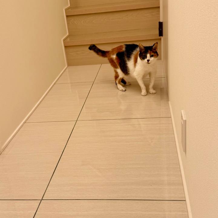 F6c8196b 9323 4b6a a987 eeeb7fc3c181 1762167503093