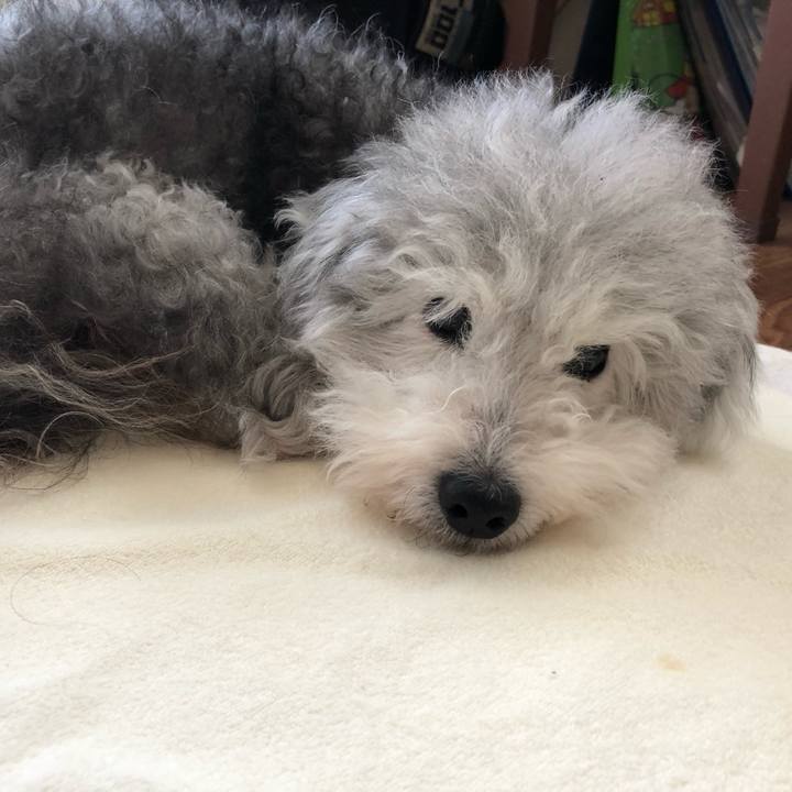 F6c81ad0 0522 4a86 af94 d7b71db8057e 1564580209040