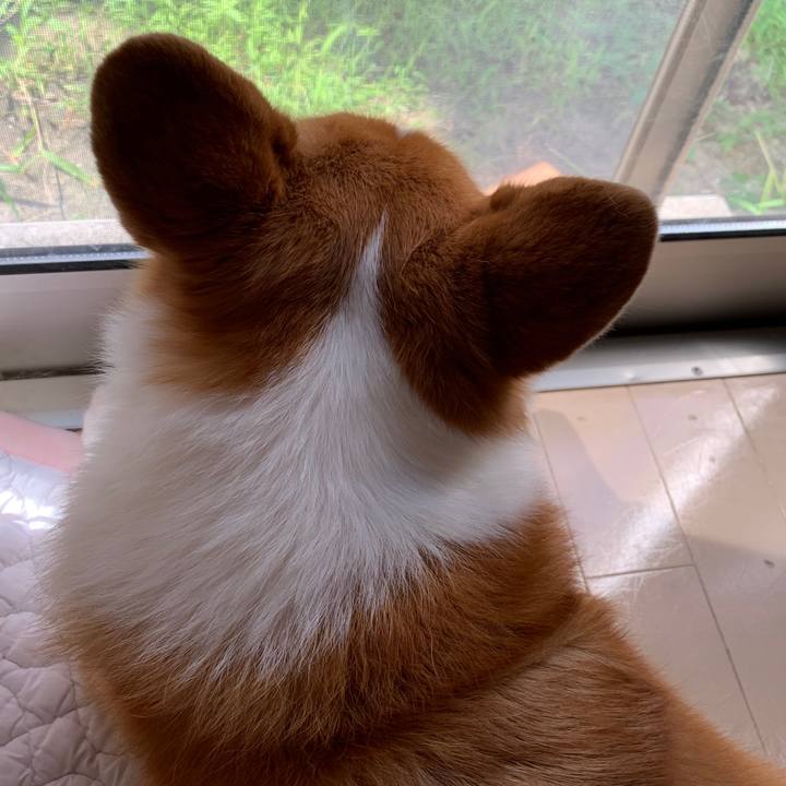 F6c81ecd 0647 4e88 b01b ab79a6fbdb48 1597538632541