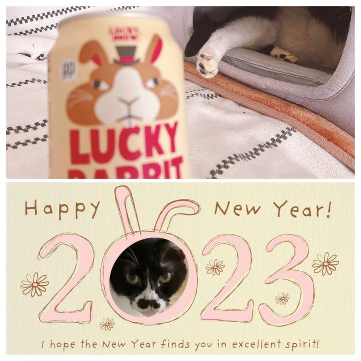 F6c832d9 5ada 4382 aeb0 2469f1c50f9b 1672546586034