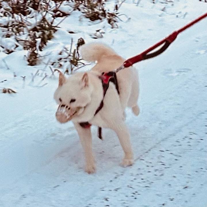 F6c83fe8 903d 43da 9c43 467ddd506fa7 1764808000941