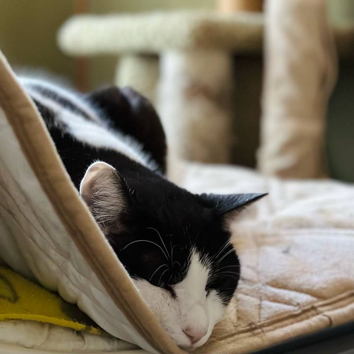 F6c847bc 5c17 498c bd3a 8723bbe83eb8 1675565890676