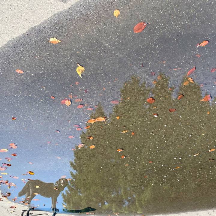 F6c85d33 cf05 442e beaa 089d256bd839 1757647458114