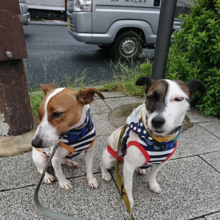 F6c8a851 355c 4888 8af8 50875ac3ef28 1535065147645