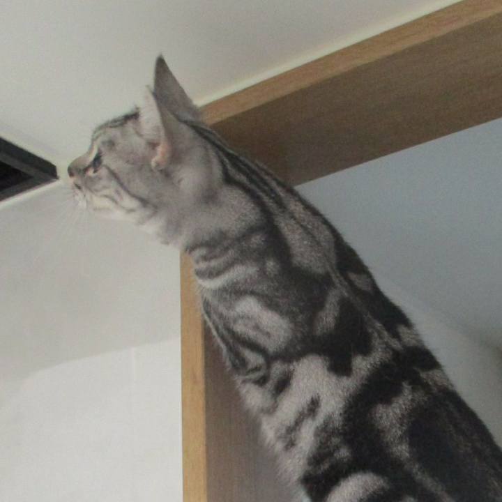 F6c8de84 fcc4 4b46 8965 b4133c722f4f 1567911189816