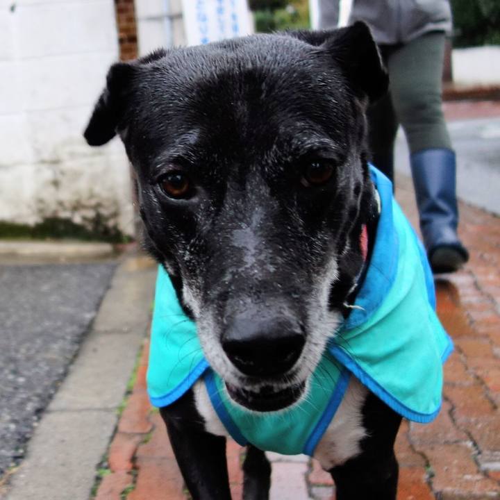 F6c9109f 7e81 4956 bb2c fcfb19862d09 1732059955754