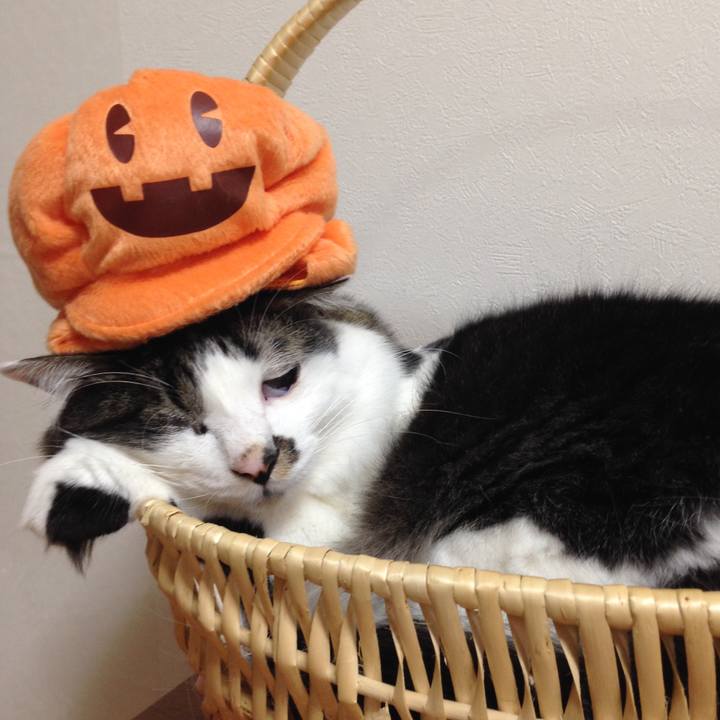 F6c91ad5 c834 4d10 930b db1b611e21d0 1508675148419