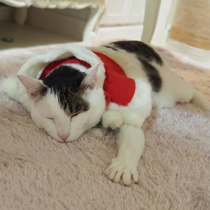 F6c92d12 fa81 4f0f 8057 93a02742af74 1577203007714