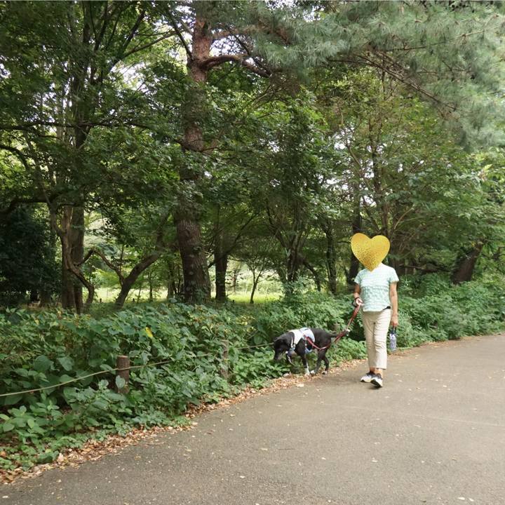 F6c93d36 d1c0 4007 88b1 9fefc8777321 1756080389419