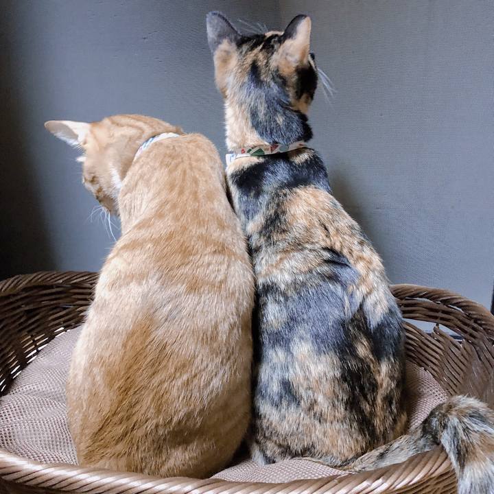 F6c9572a 7198 4a8f 9cf5 6eec91d09ae8 1570885817592