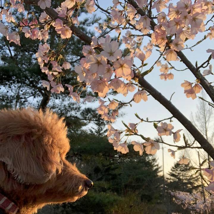 F6c96115 df34 49e9 960e 83aadc4a1be5 1523327466566