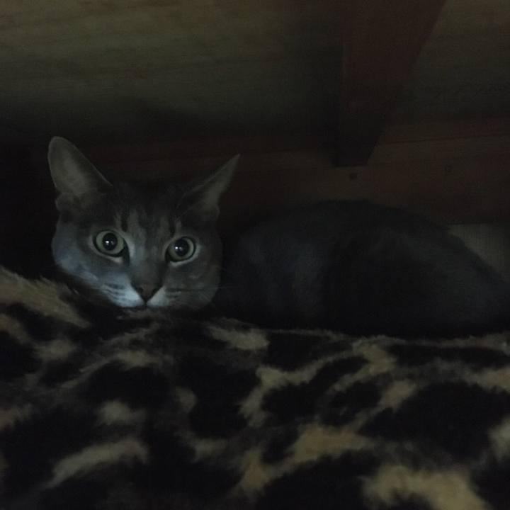 F6c96b2a 8eb7 40fc a717 155d2601046d 1570842973086