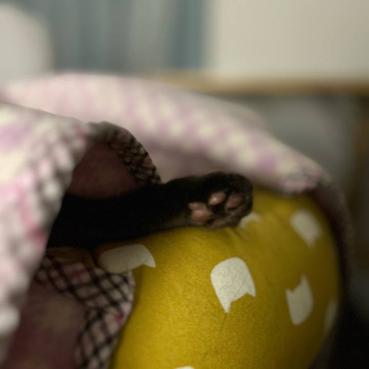 F6c97d1d 71dc 4420 bbb2 42de0b77c25b 1774646854634