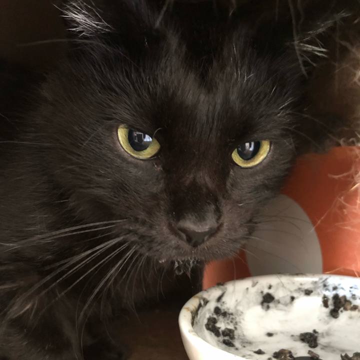 F6c9b320 d024 4a5e a04f fb86745aa2d3 1630206094844