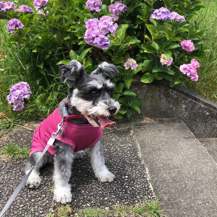 F6c9ba19 5205 498e 872c 1c9d218dc37a 1687663457028