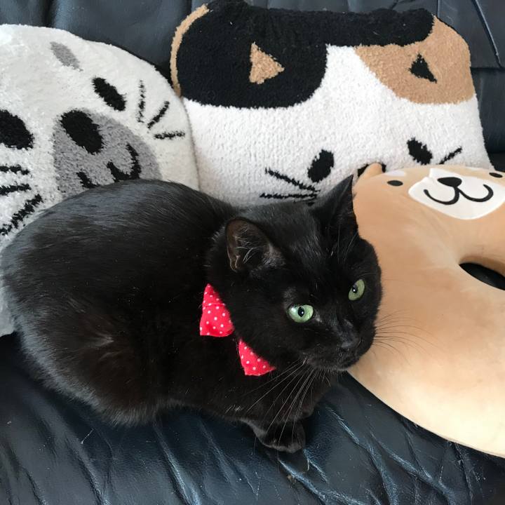 F6c9c831 7b14 41a7 bf07 a3a347b6b5e4 1561249649720