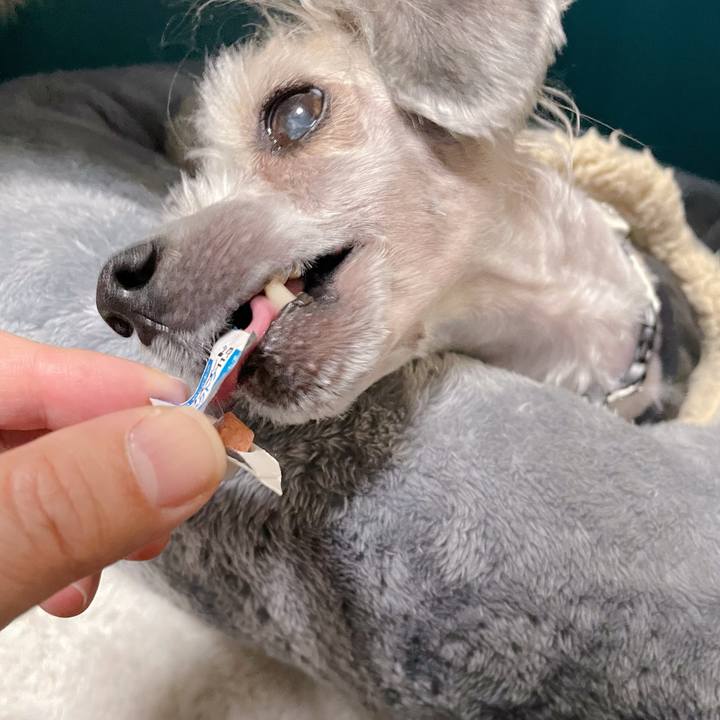 F6caa691 eb05 49cb 84b4 d825d1f5f0cd 1773575119378