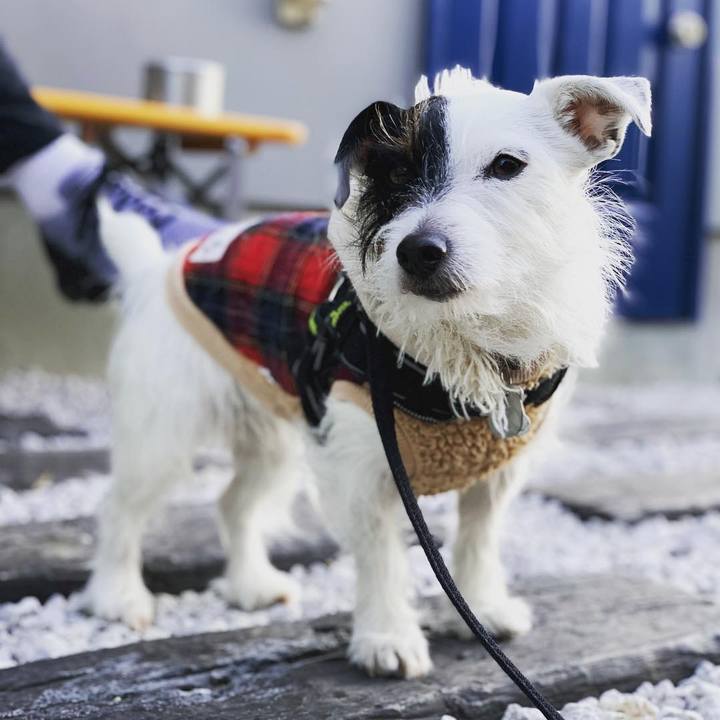 F6cac1dd 7ea0 4ccb 8b8b 17e1daad5cd3 1547460154894