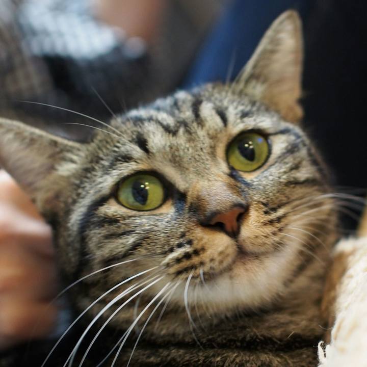 F6cae284 b5ce 41e9 9f11 ab61c3376a90 1539404671067