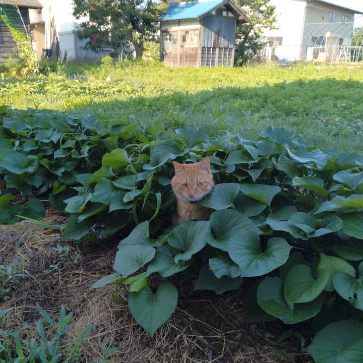 F6cb22d1 cdd0 49b6 9f14 658c1c1c06b9 1691103160682