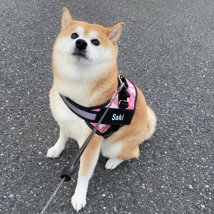 F6cb55a6 a16b 4040 927d b3799eb24e93 1634791238136