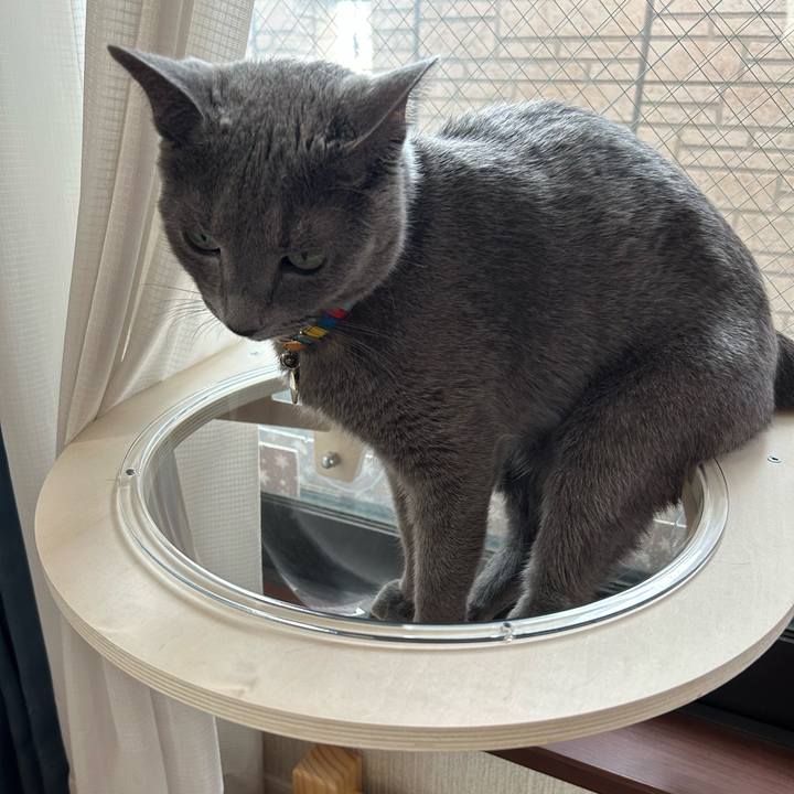 F6cb647a ab70 476d 8324 b2c9f4e8f253 1695609498437