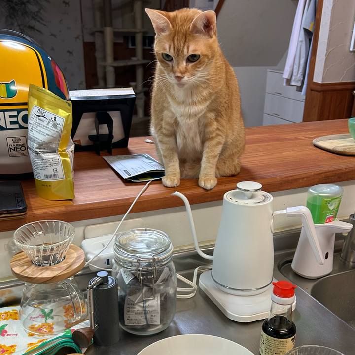 F6cb6a7e 660f 43de 954a 688dd2b62d19 1676629398697