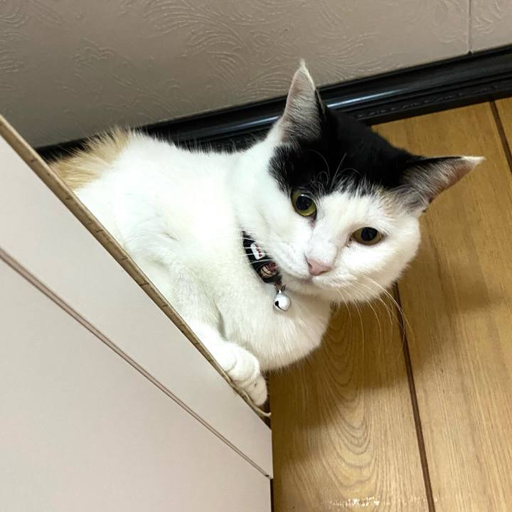 F6cb9a7a e0cb 4ed2 8704 a65f8d5b20c4 1651609865163