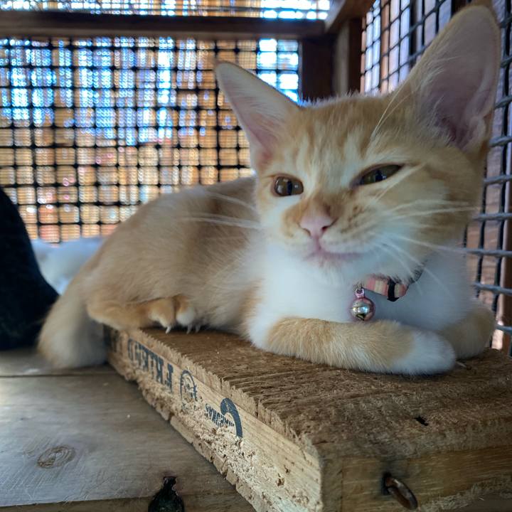 F6cbbe50 4e02 4511 9ef6 9fd092e09db4 1632874262455