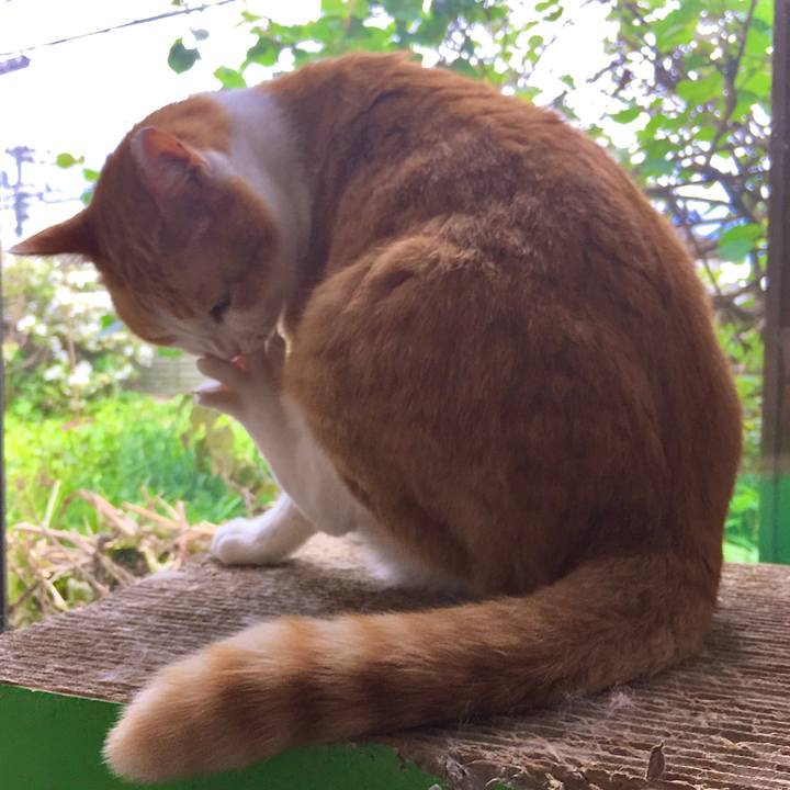 F6cbc030 97fc 4f08 9046 6c7018d0e369 1622761216592