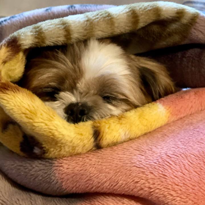 F6cbd104 e90d 42b3 8ada c22ca16cb910 1634880736140