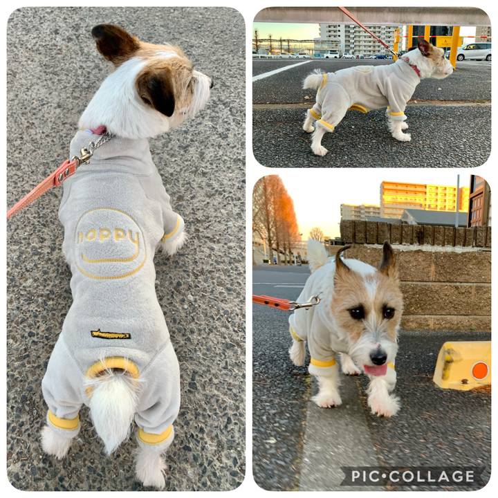 F6cbd422 b2eb 4017 b91d 2ec7071d510e 1611924754740