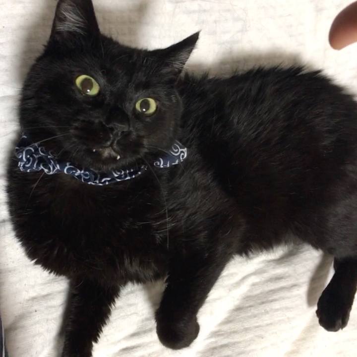 F6cc048f d4ef 4eca 8ff5 f29765ee9c20 1553084571279