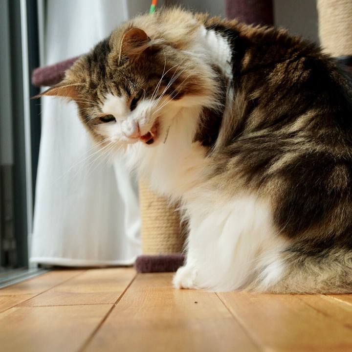 F6cc495c 98fa 42ee 9fe0 5cf08c5a26a7 1556459746363