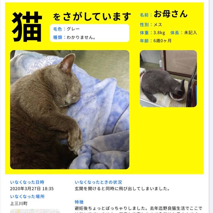 F6cc51e0 bc11 4550 a1ff e1845e3058c1 1592432307062