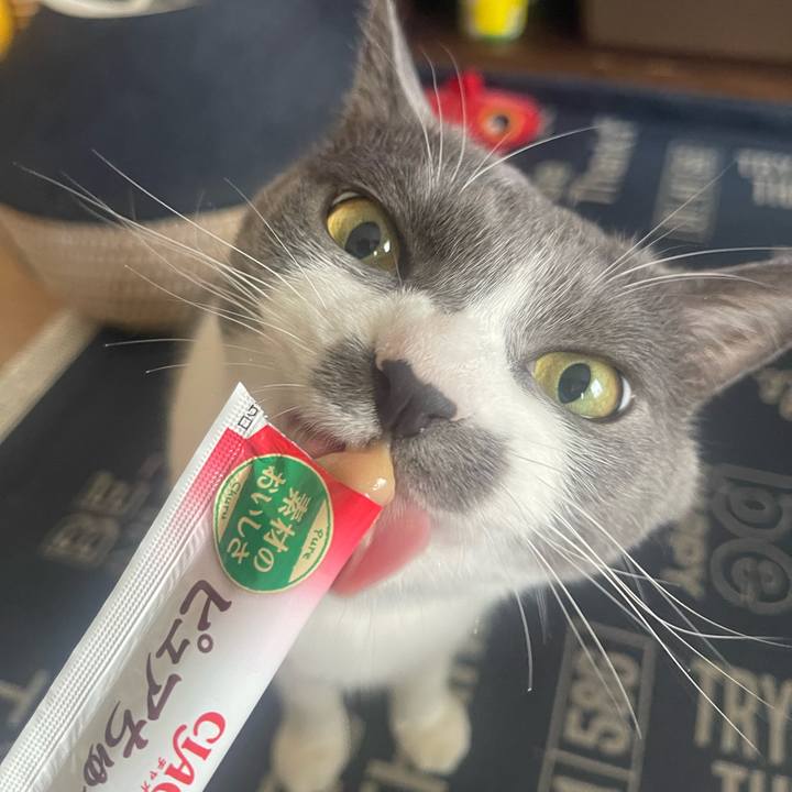 F6cc8365 3b4d 437a 8bed a78a0a696b72 1721112027102