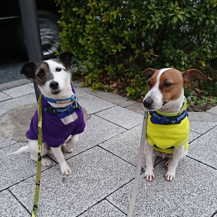 F6cc85ff bf6e 44a4 a178 281e2e39a9f3 1550527379350