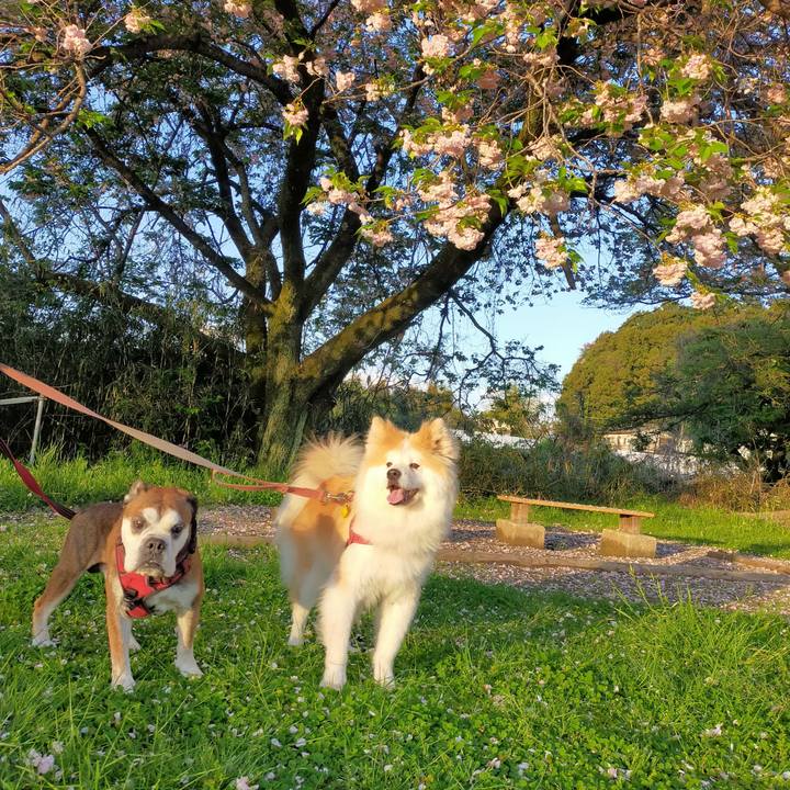 F6ccb2e6 693a 4407 ab26 5c2ab23990b8 1681739031507