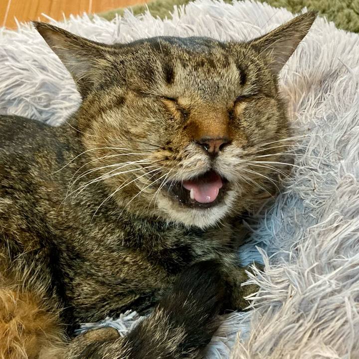 F6cccbb3 a733 4c7b 8bdf c5429351558f 1687556441079