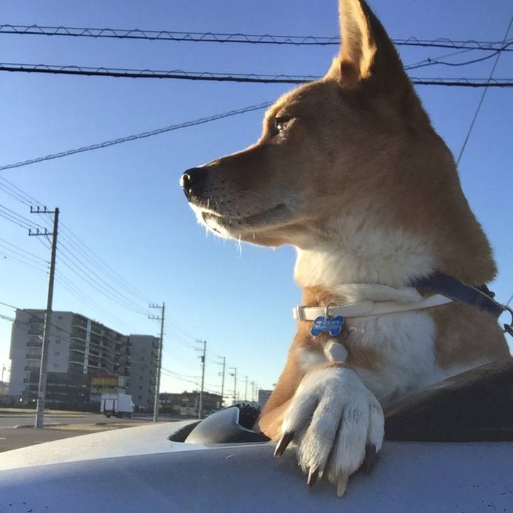 F6ccd207 9509 466e a8a9 b7b1ea7f0b5d 1547158948639